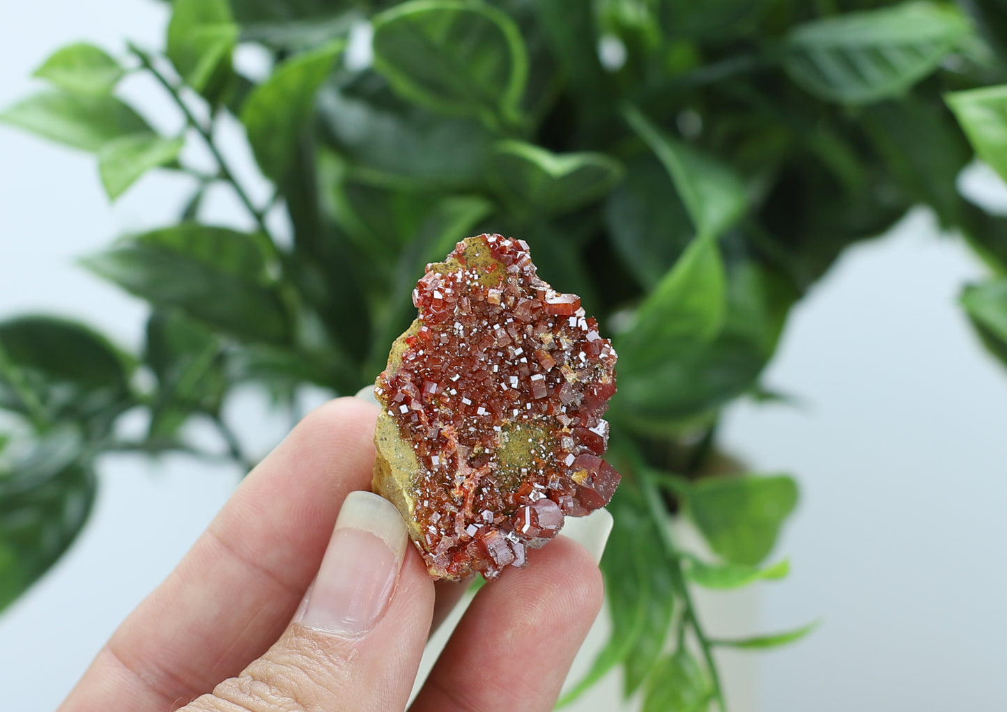 Moroccan Vanadinite Specimen