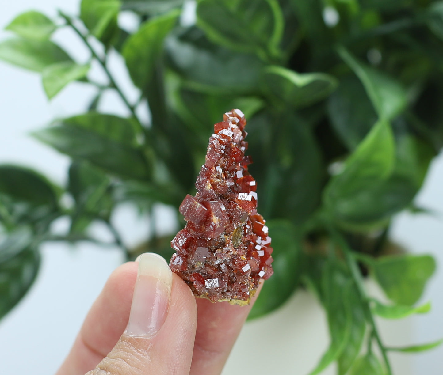 Moroccan Vanadinite Specimen