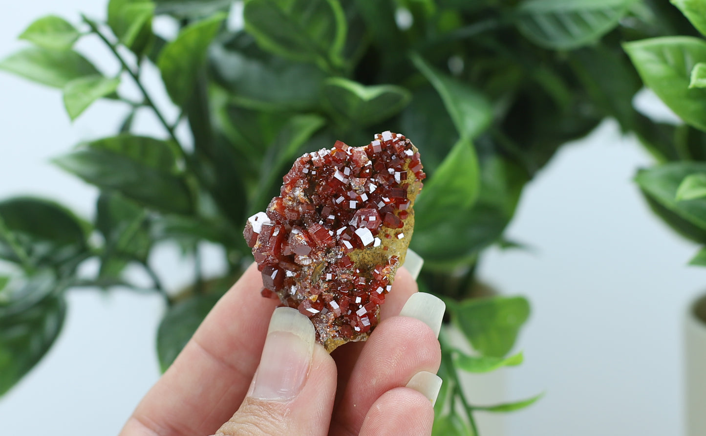 Moroccan Vanadinite Specimen