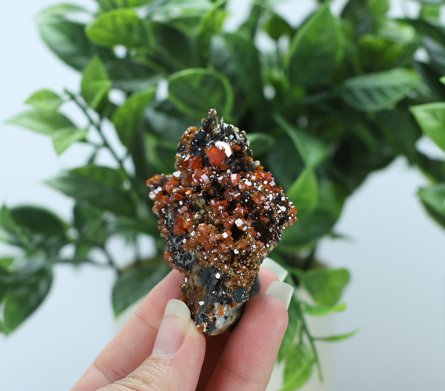 Moroccan Vanadinite Specimen