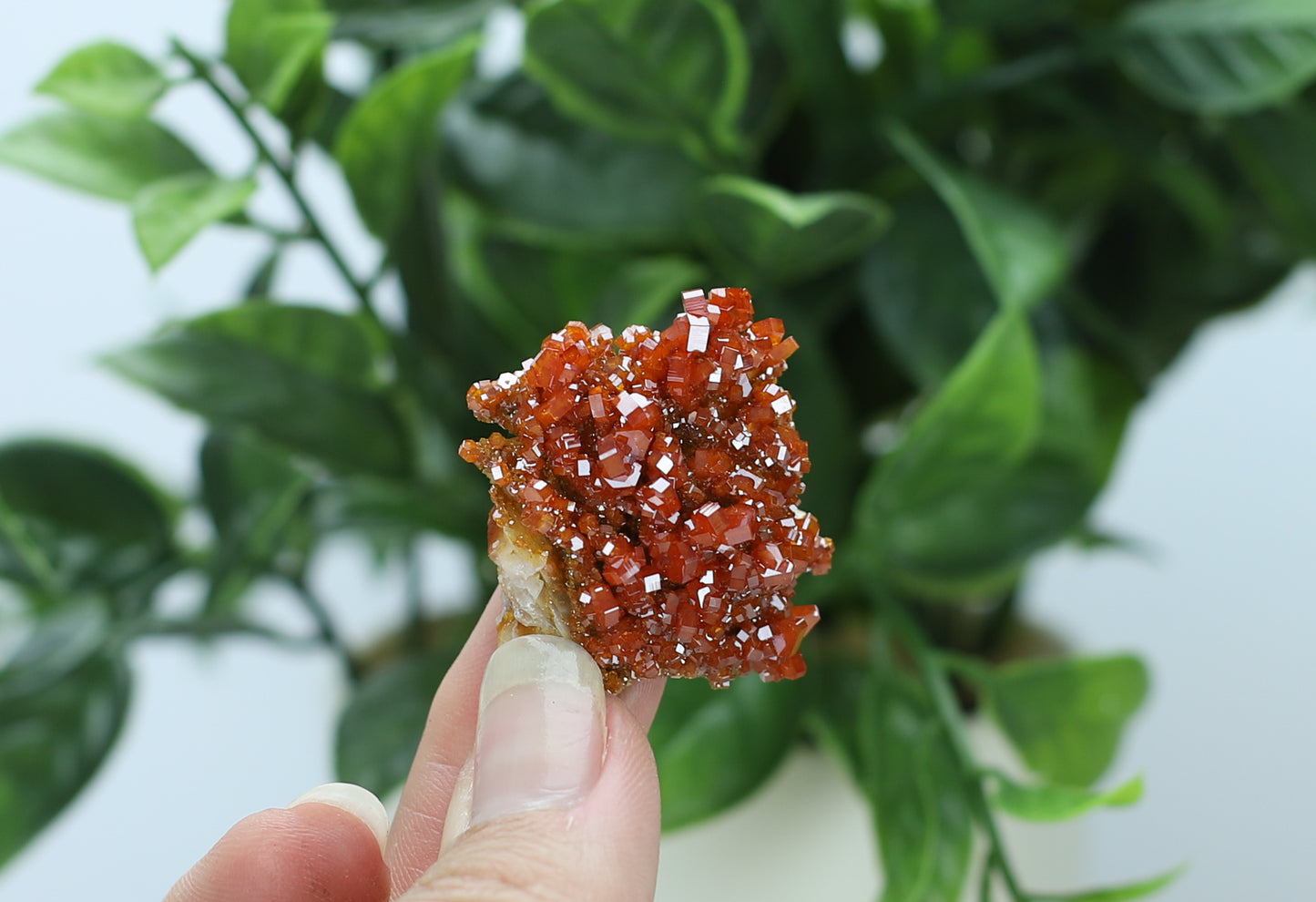 Moroccan Vanadinite Specimen