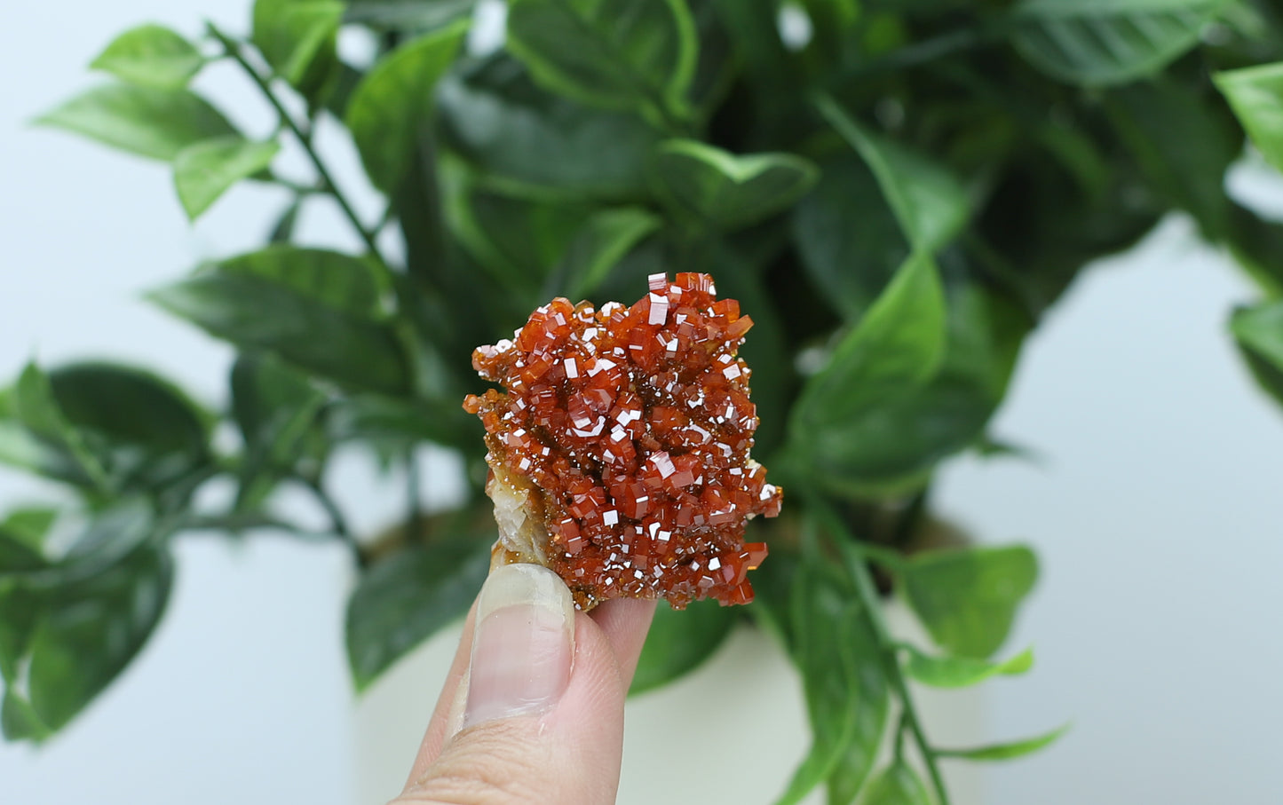Moroccan Vanadinite Specimen