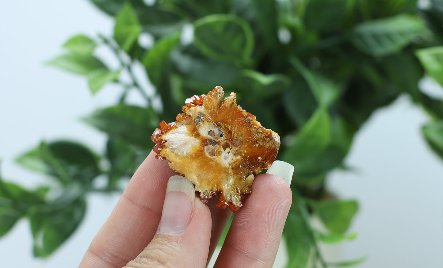 Moroccan Vanadinite Specimen