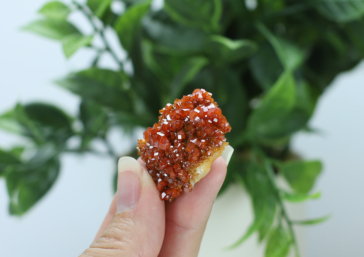 Moroccan Vanadinite Specimen