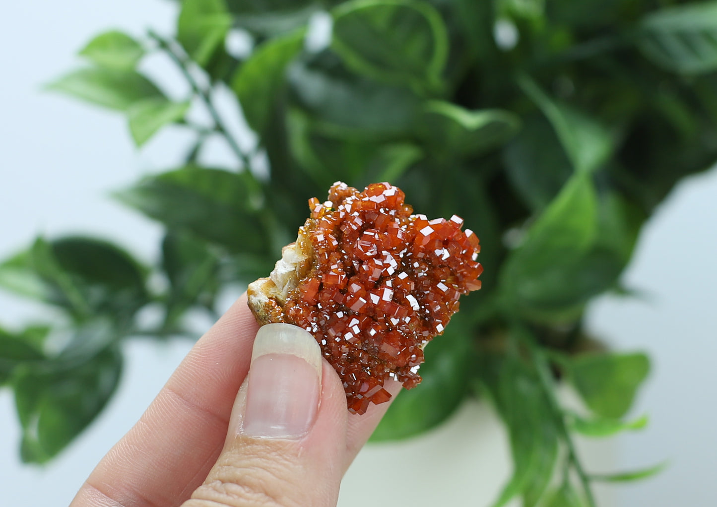 Moroccan Vanadinite Specimen