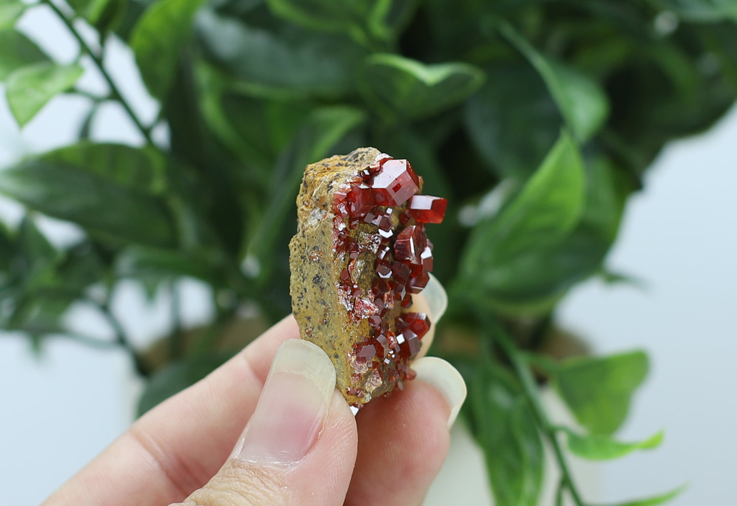 Moroccan Vanadinite Specimen