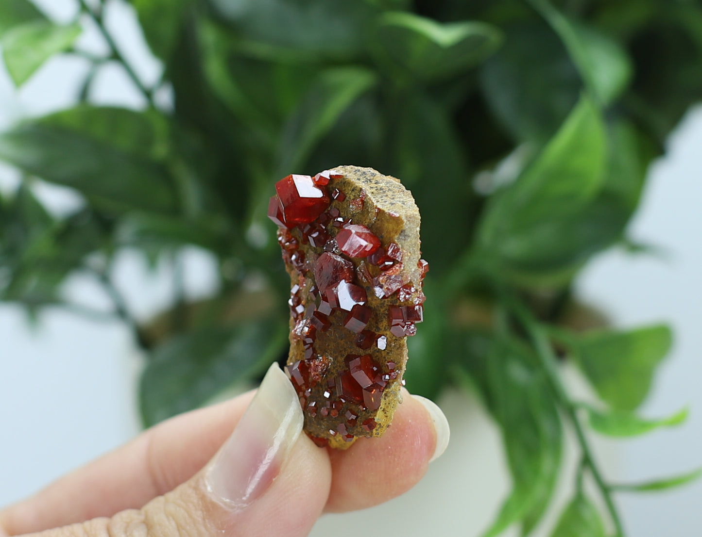 Moroccan Vanadinite Specimen