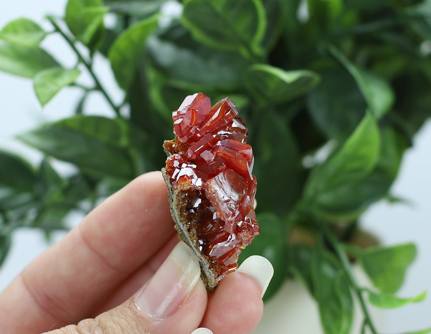 Moroccan Vanadinite Specimen