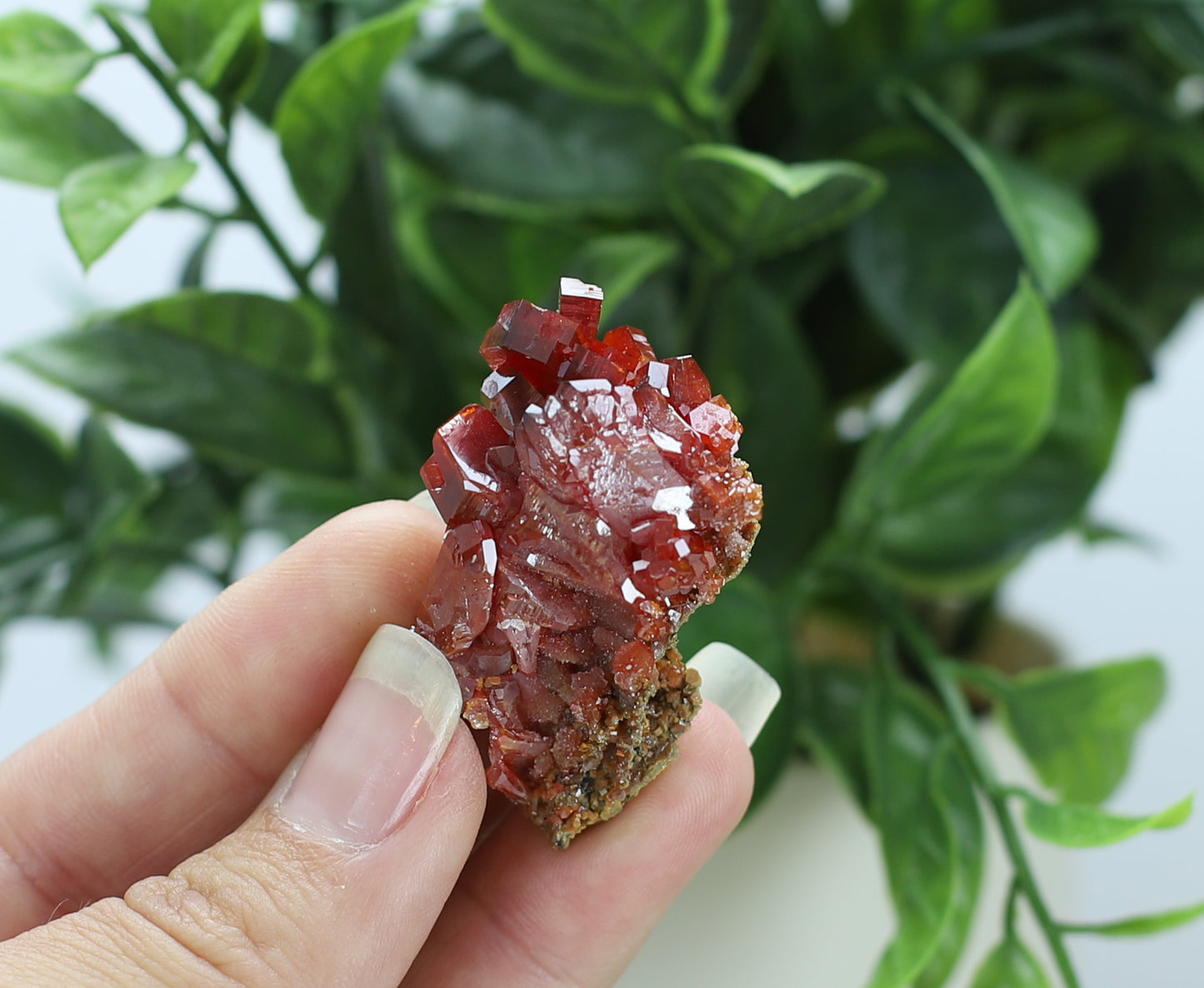 Moroccan Vanadinite Specimen