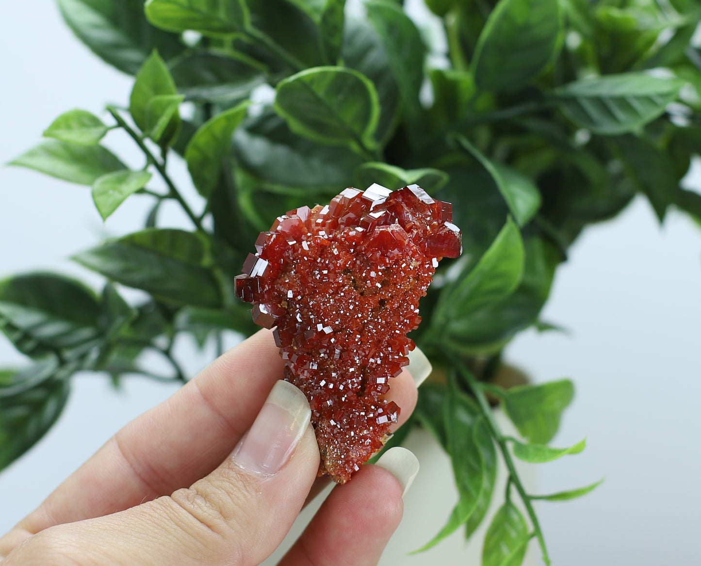 Moroccan Vanadinite Specimen