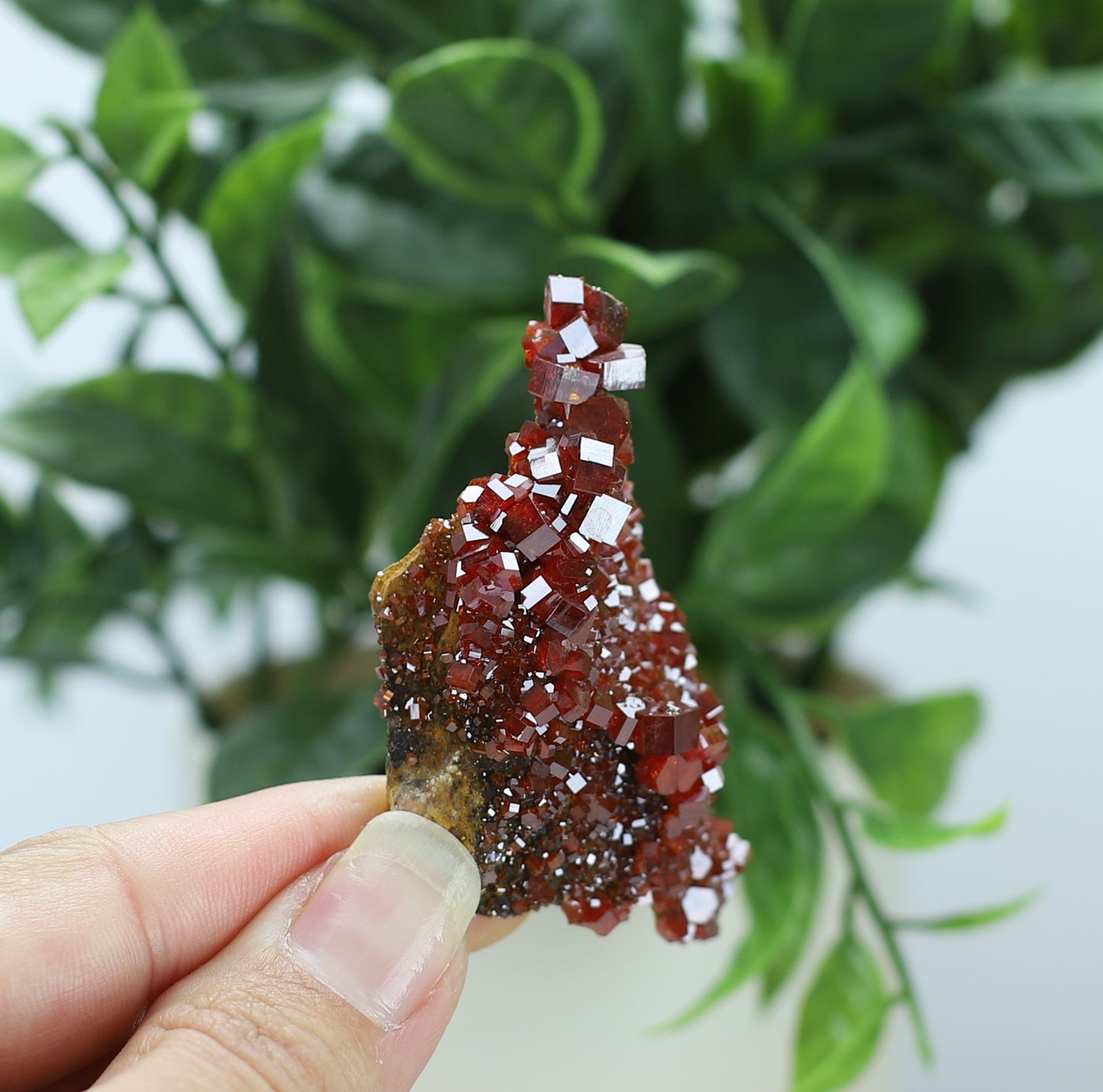 Moroccan Vanadinite Specimen