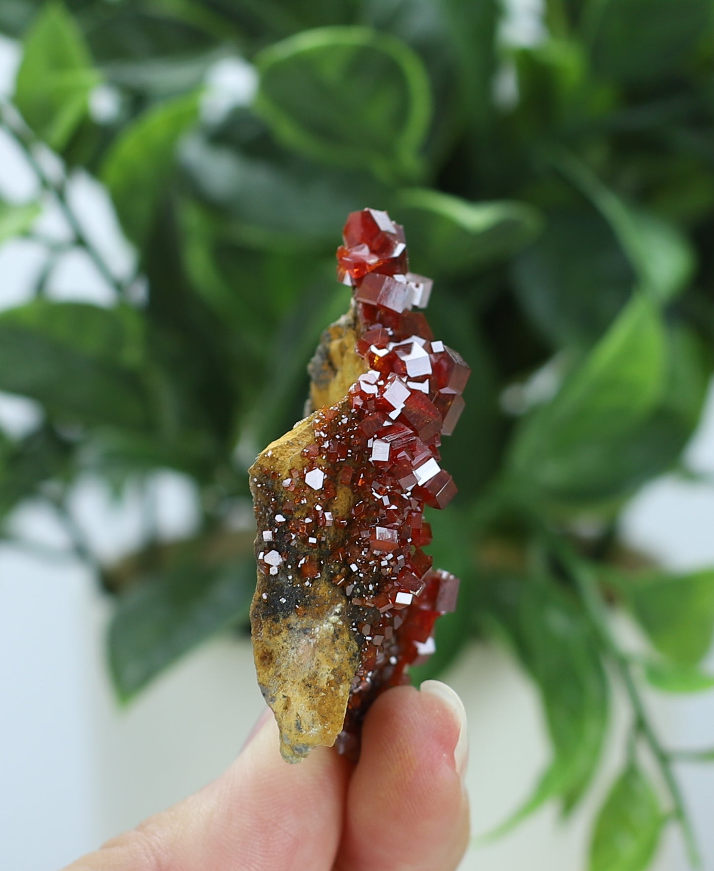 Moroccan Vanadinite Specimen
