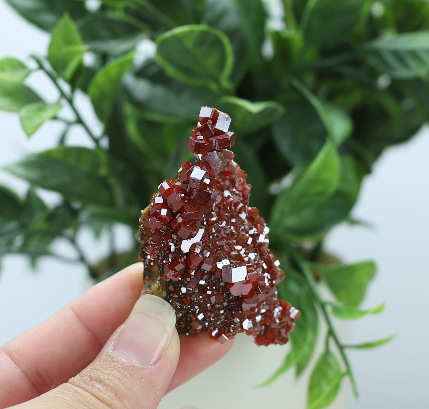 Moroccan Vanadinite Specimen