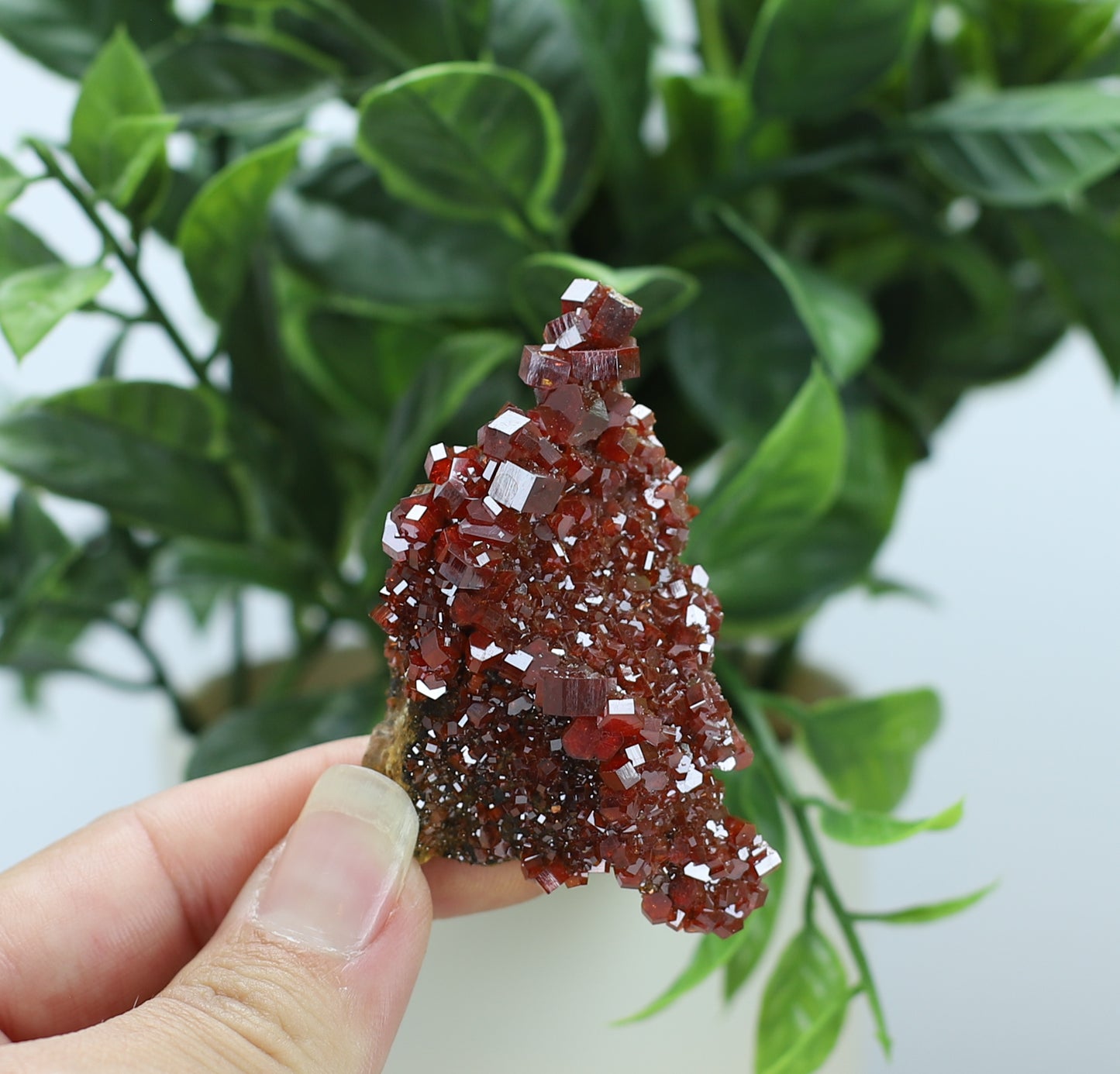 Moroccan Vanadinite Specimen
