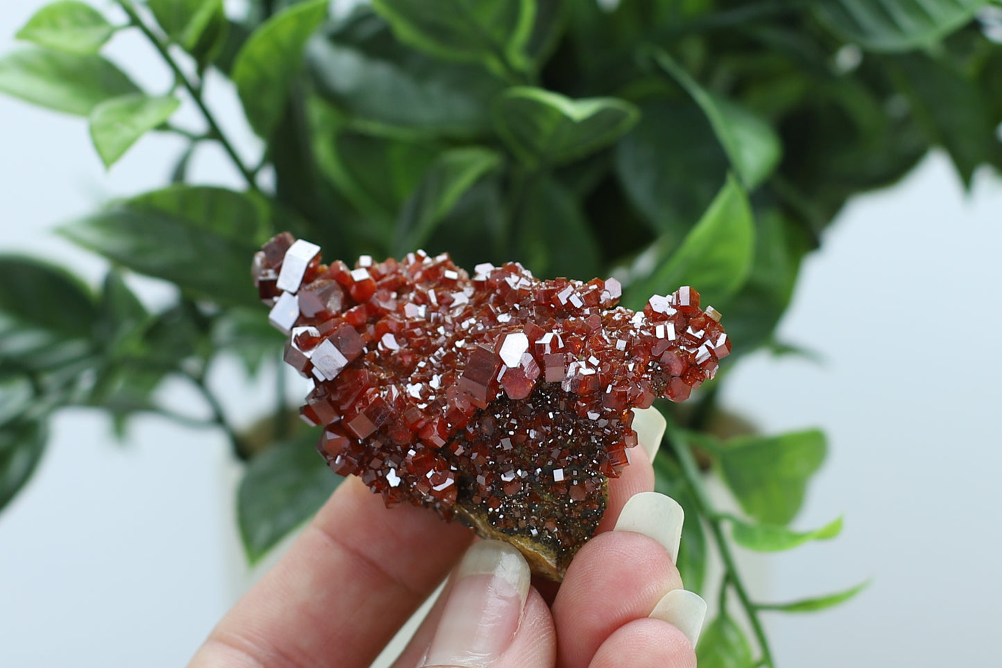 Moroccan Vanadinite Specimen