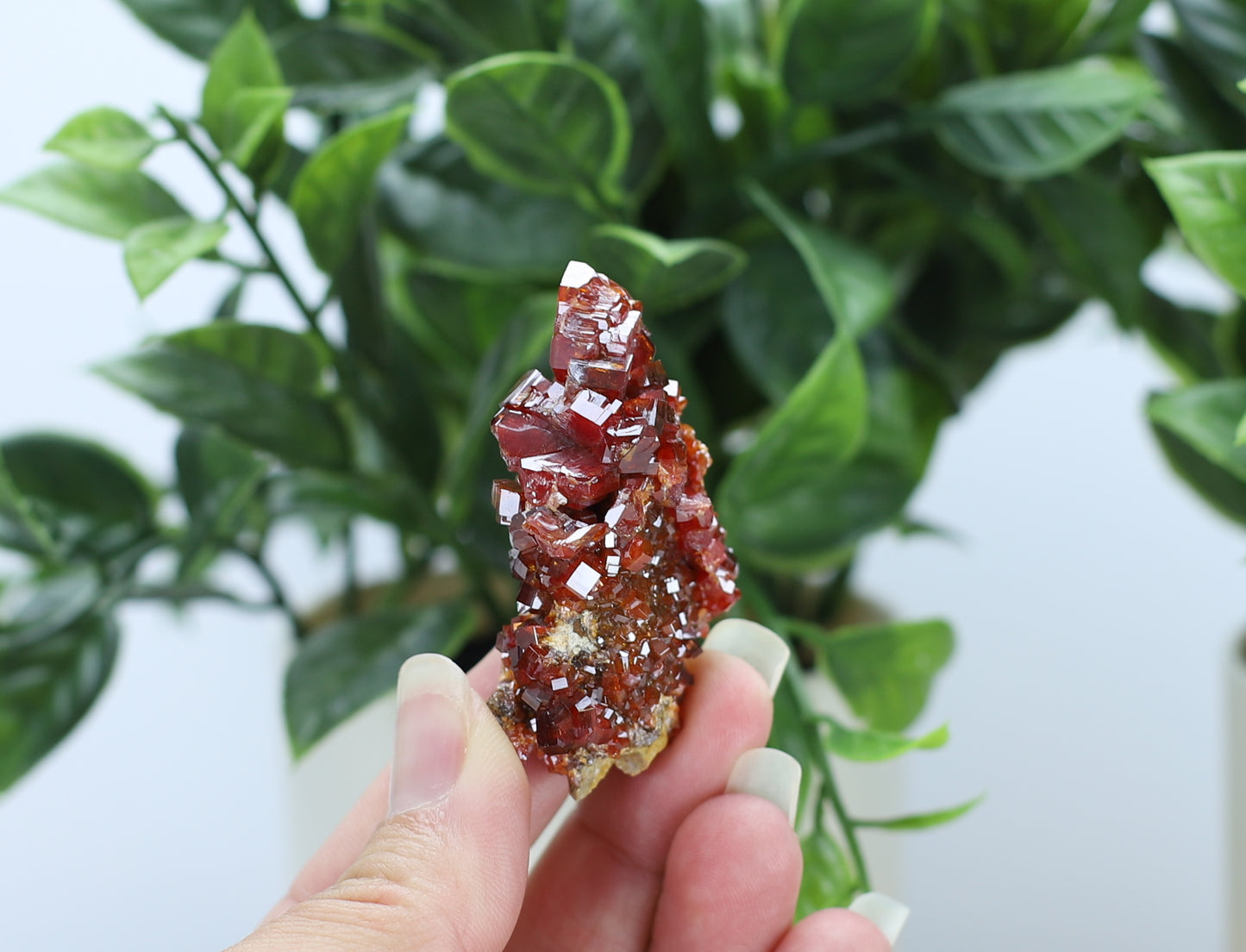 Moroccan Vanadinite Specimen
