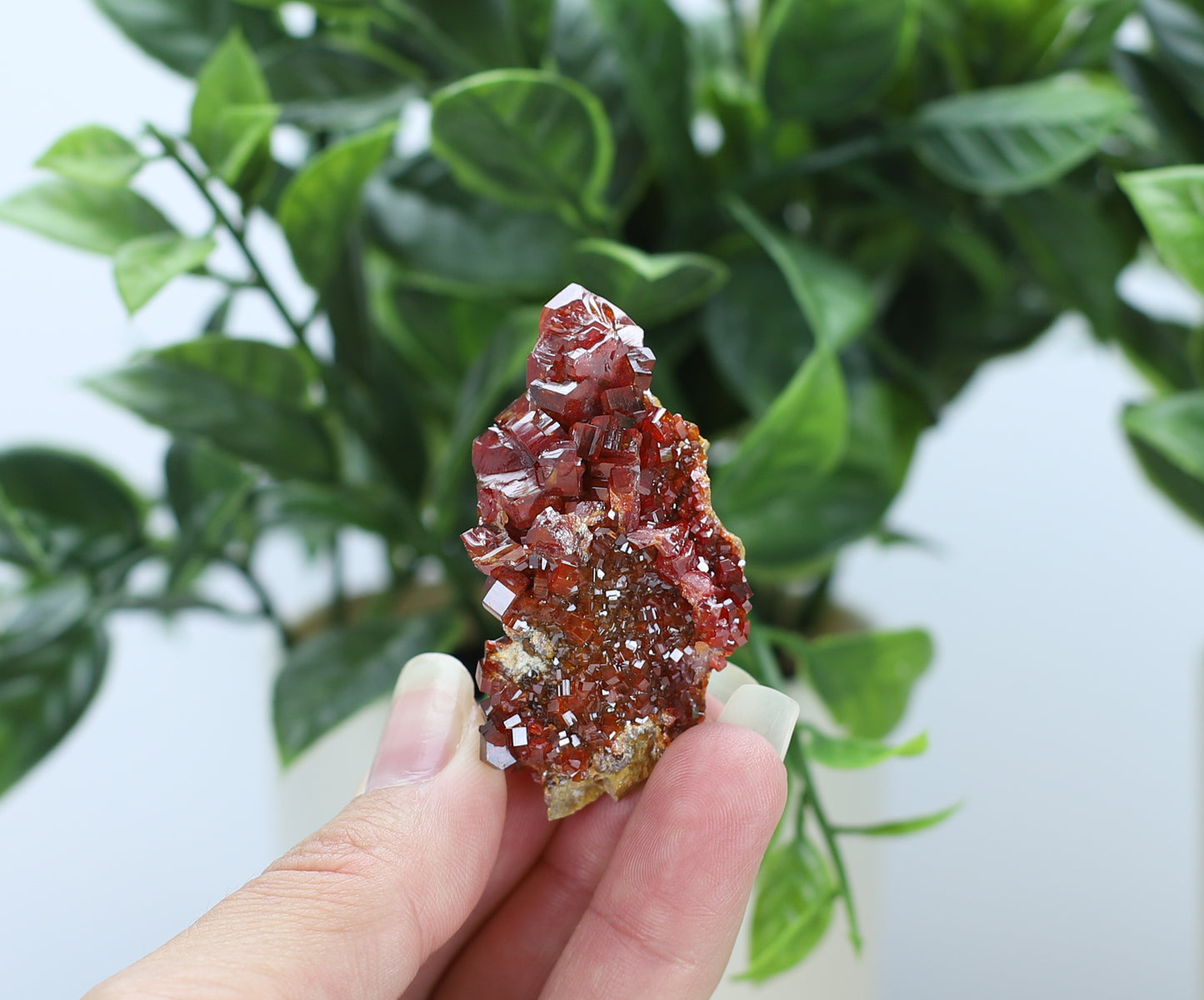 Moroccan Vanadinite Specimen
