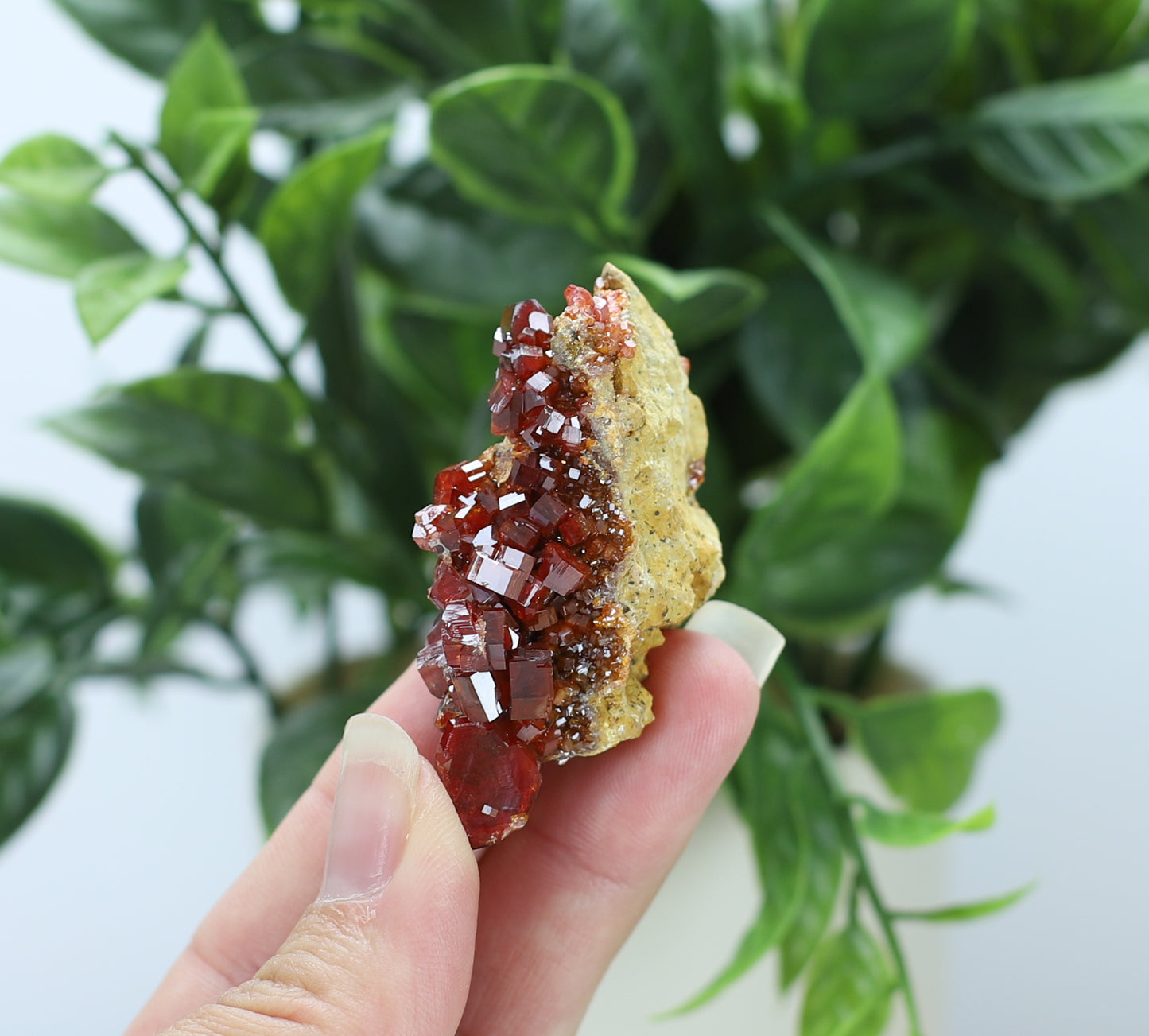 Moroccan Vanadinite Specimen