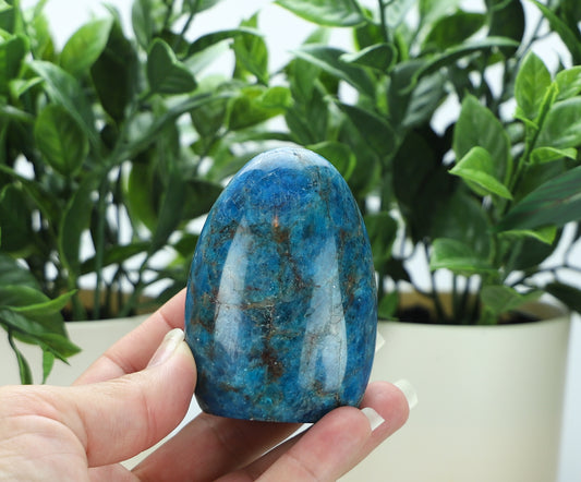 Apatite Freeform