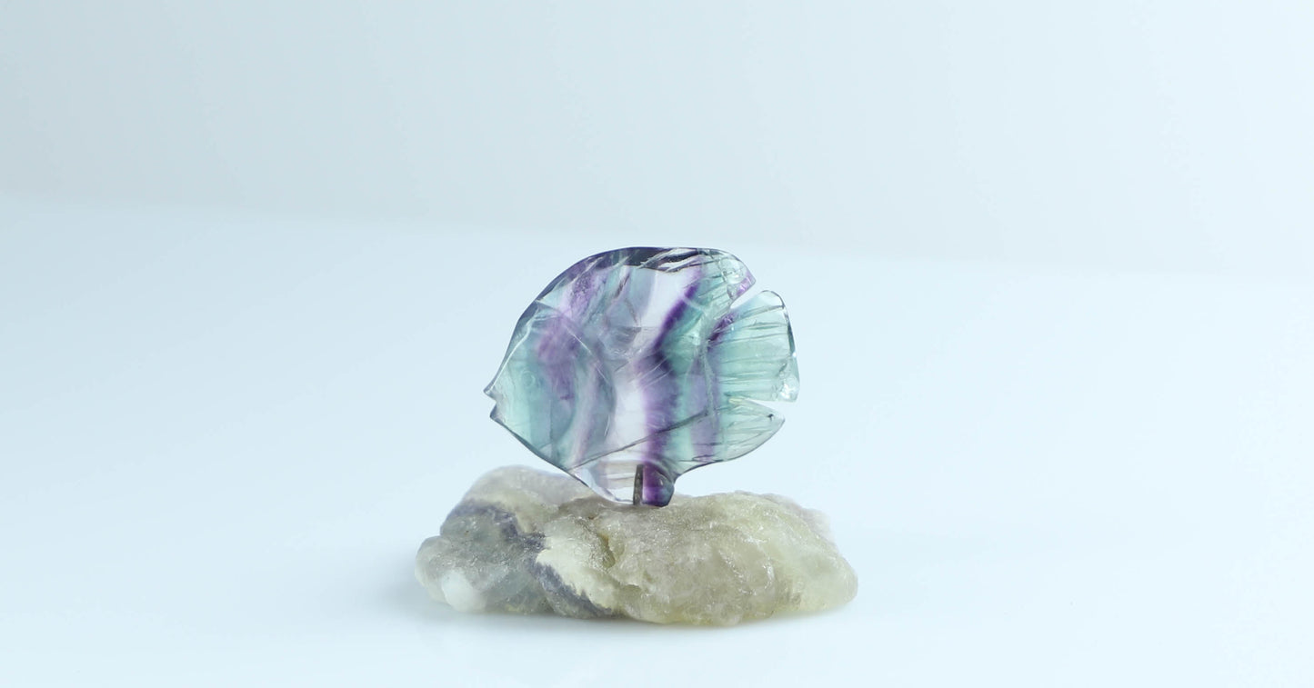 Fluorite Crystal Fish
