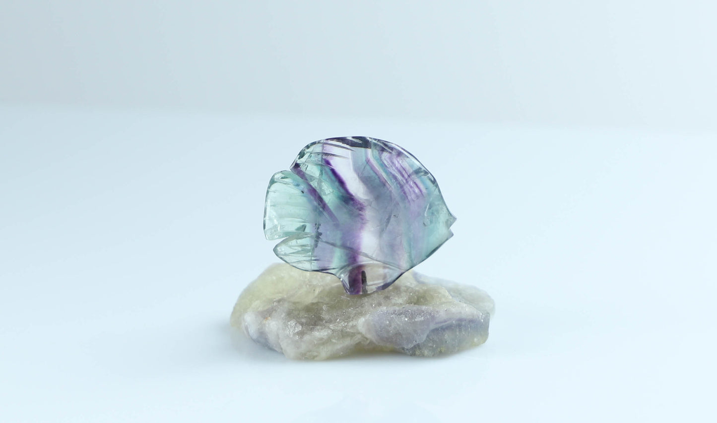 Fluorite Crystal Fish