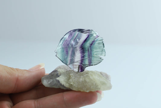 Fluorite Crystal Fish