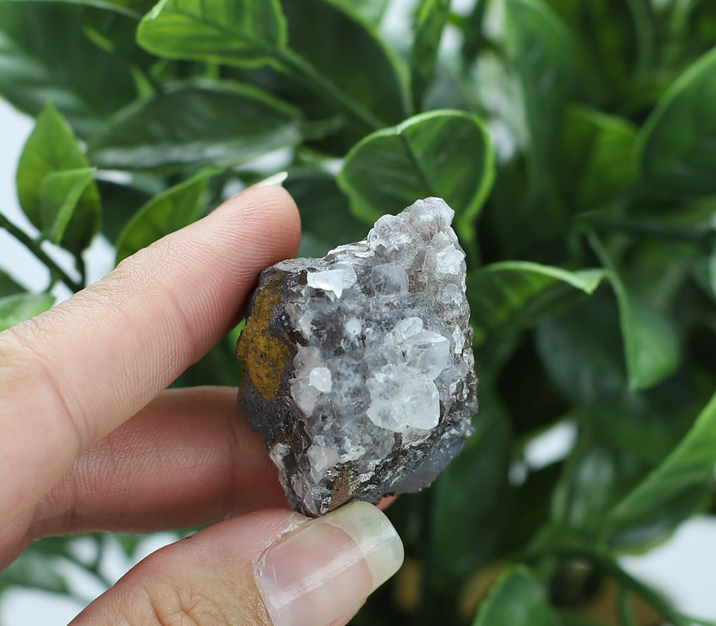 Manganese and Quartz