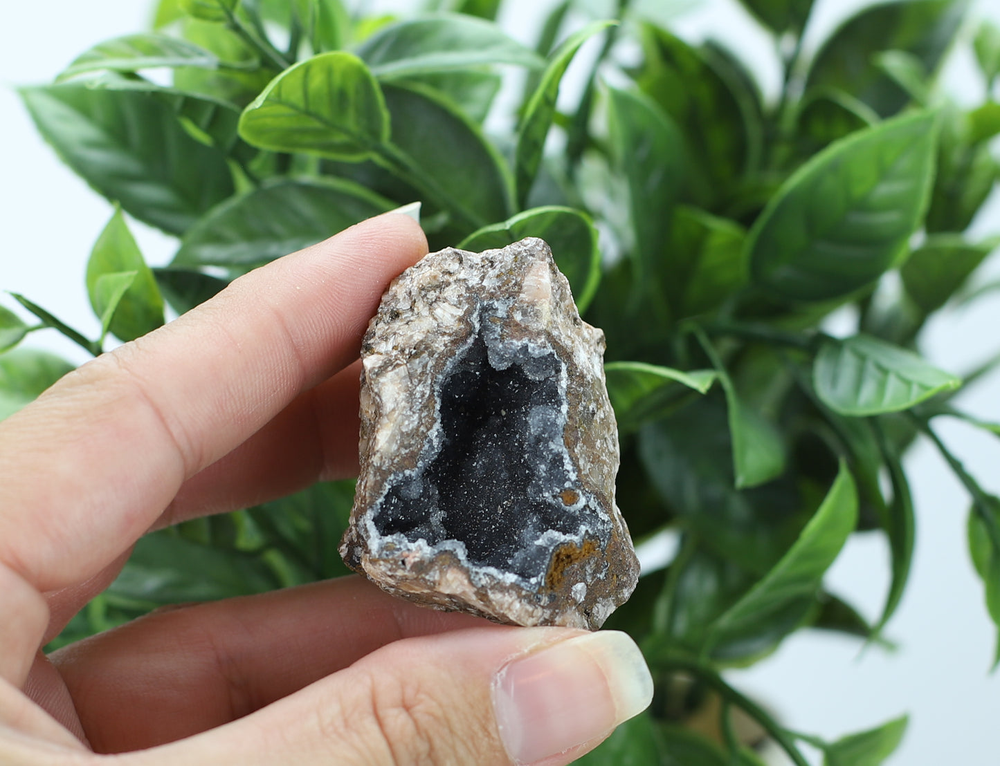 Manganese and Quartz