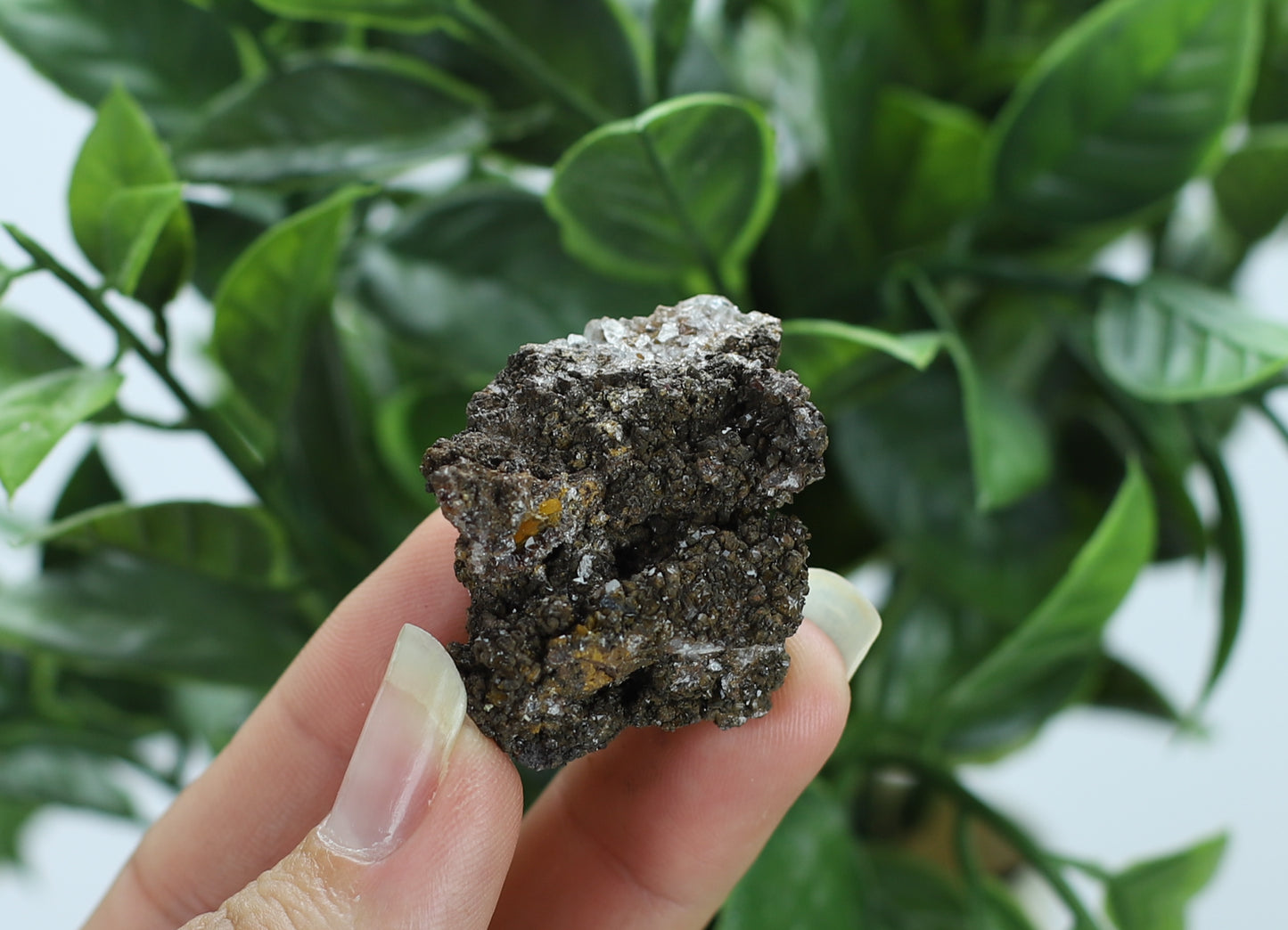 Manganese and Quartz