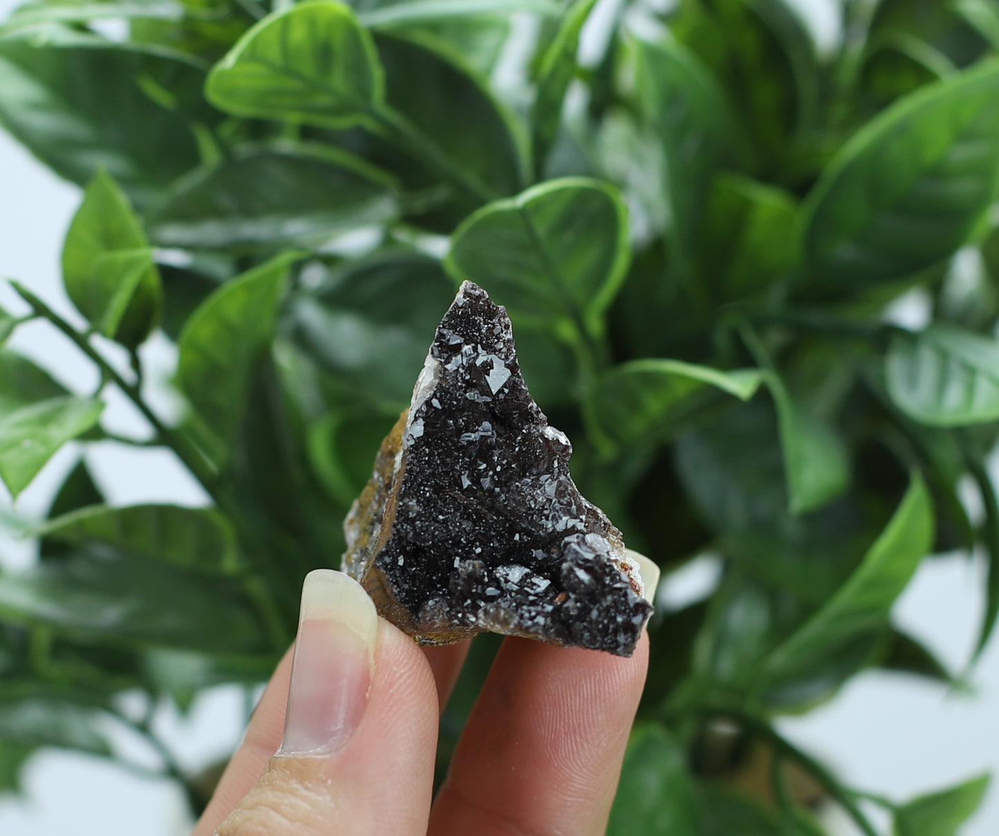 Manganese and Quartz