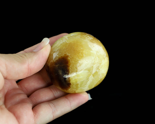 Septarian Palm Stone,