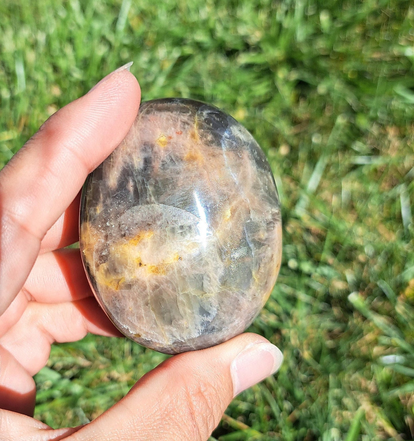Piedra de palma de piedra lunar negra: intuición, protección y equilibrio energético
